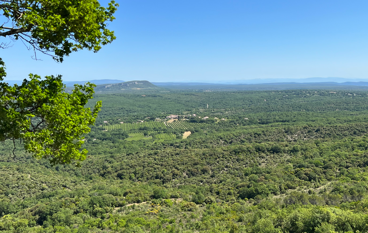 Le mas et les paysages du domaine Casamande